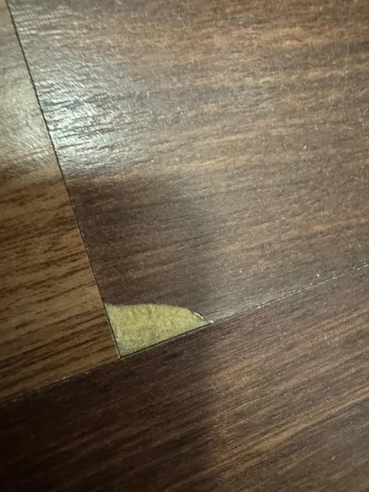 Flooring work by 360Reno